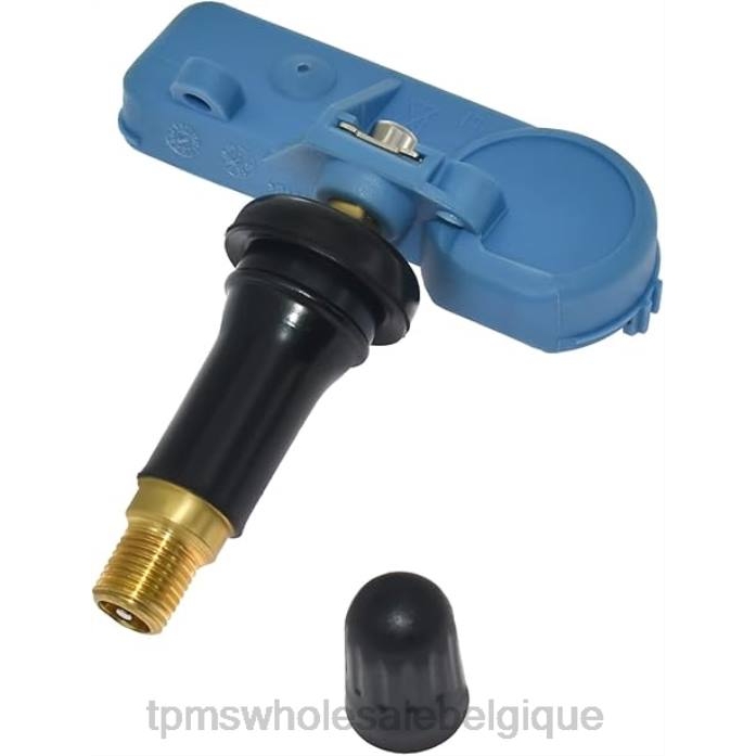 Capteur De Pression Des Pneus TPMS | 2VL61357 Capteur de pression des pneus tpms chevrolet/cadillac 25789964